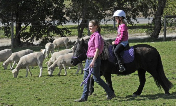Pony Rides & Petting Zoo
